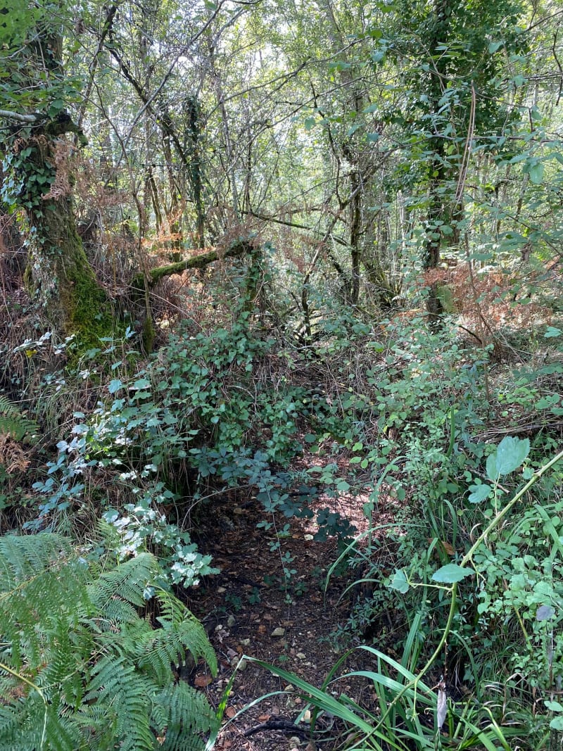 Parcours de l'Escouley par Villeranque - Avensan