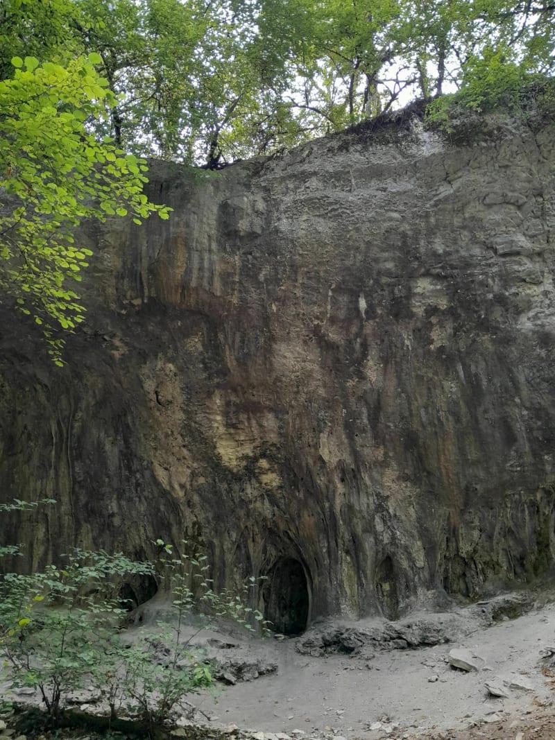 Couchey Combe Pevenelle Combe Vaulon allée des Tilleuls - Couchey