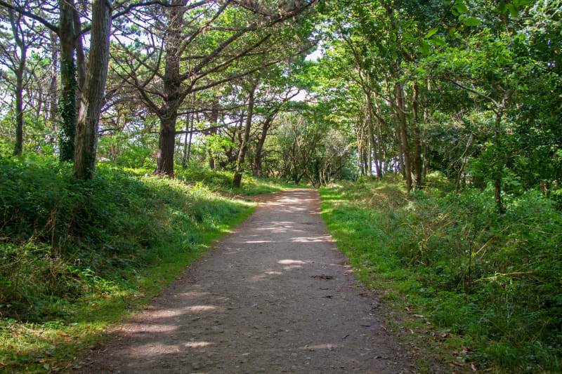 Bois du Névêt - Douarnenez