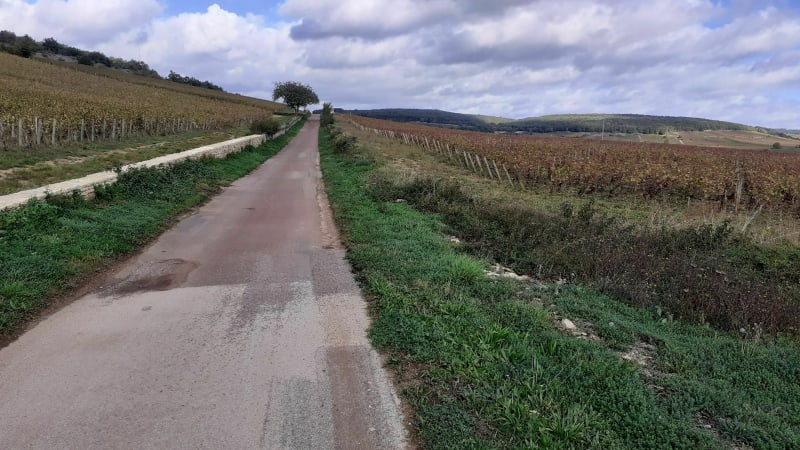 Nord de Beaune par les vignes et villages - Beaune