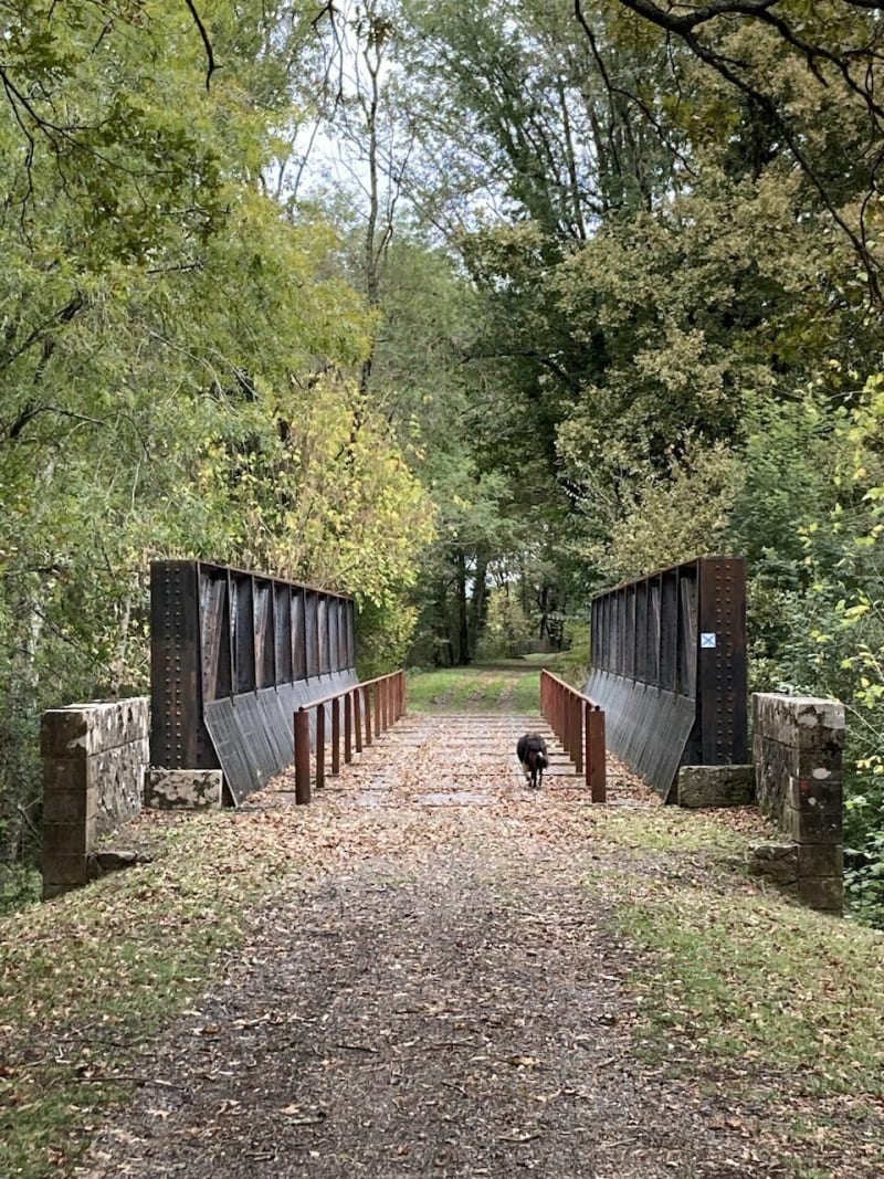 Balade à Montaut - Montaut