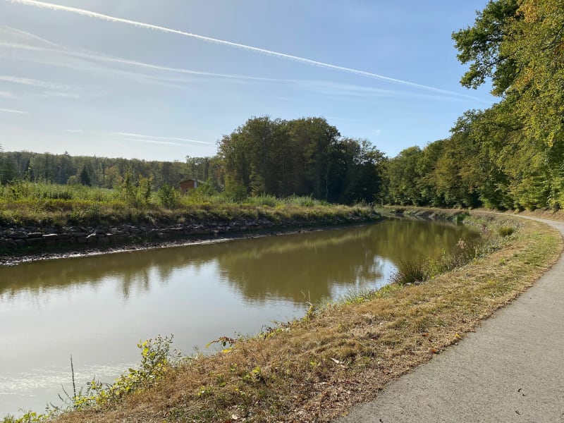 Sortie le long du canal des Vosges - Les Forges
