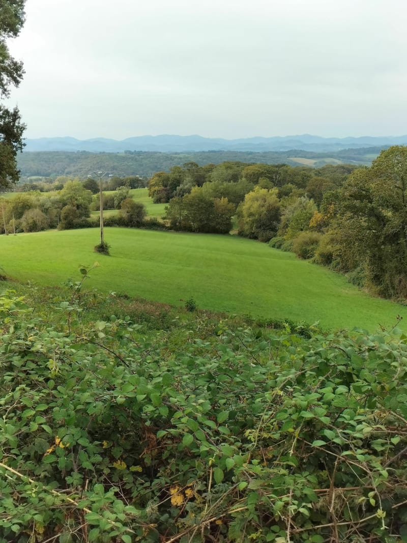 Balade depuis Salies-de-Béarn - Salies-de-Béarn