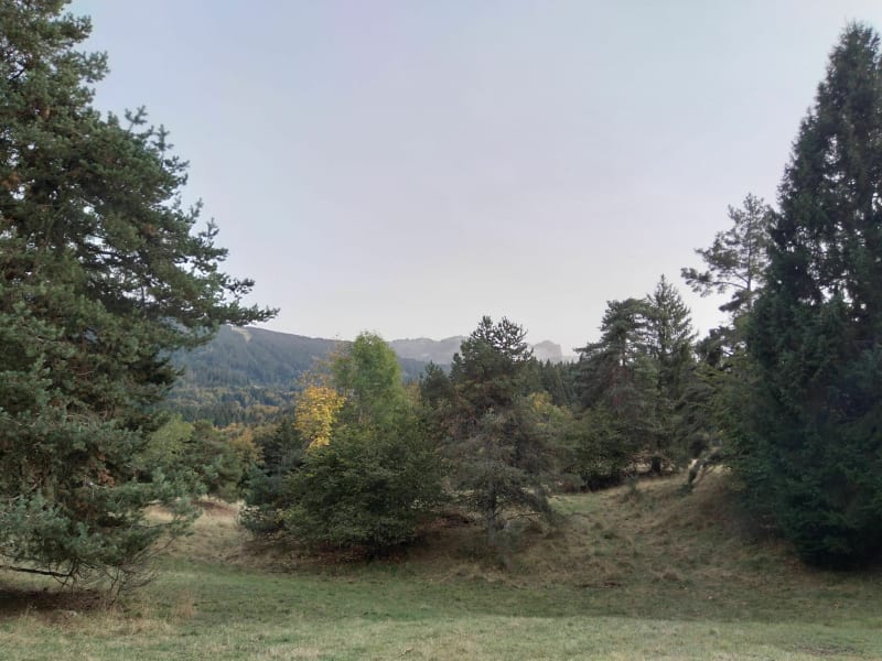 Tour des Communaux depuis la Frasse. - Arâches-la-Frasse