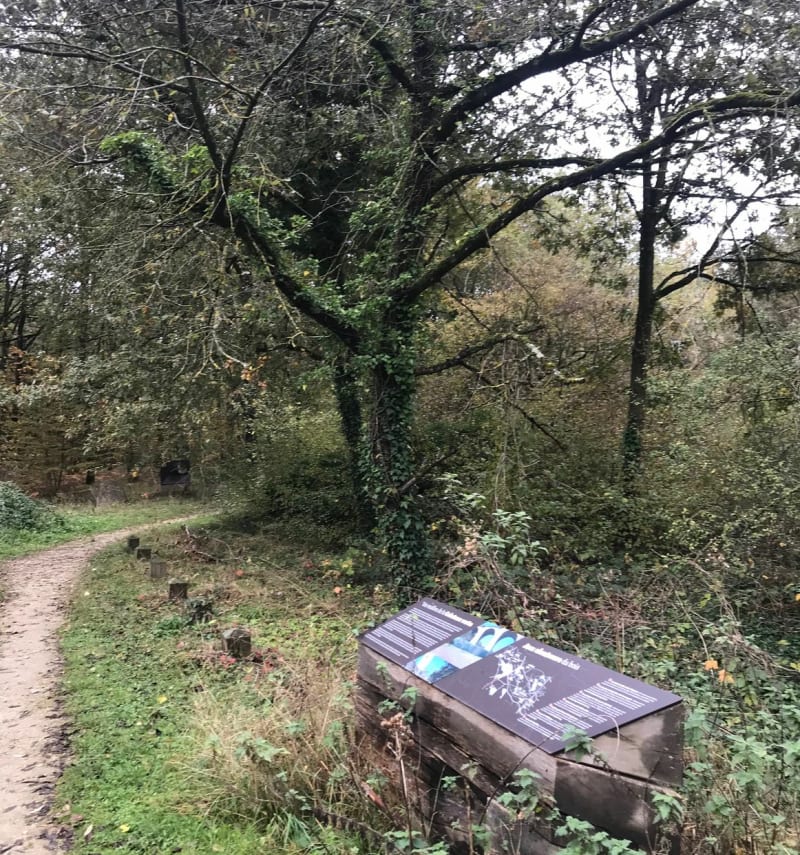 Entre forêt et village à Montlhéry - Montlhéry