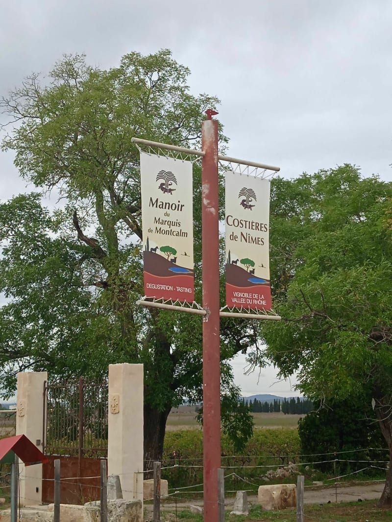 Balade autour d'Uchaud entre vignes et vergers - Uchaud