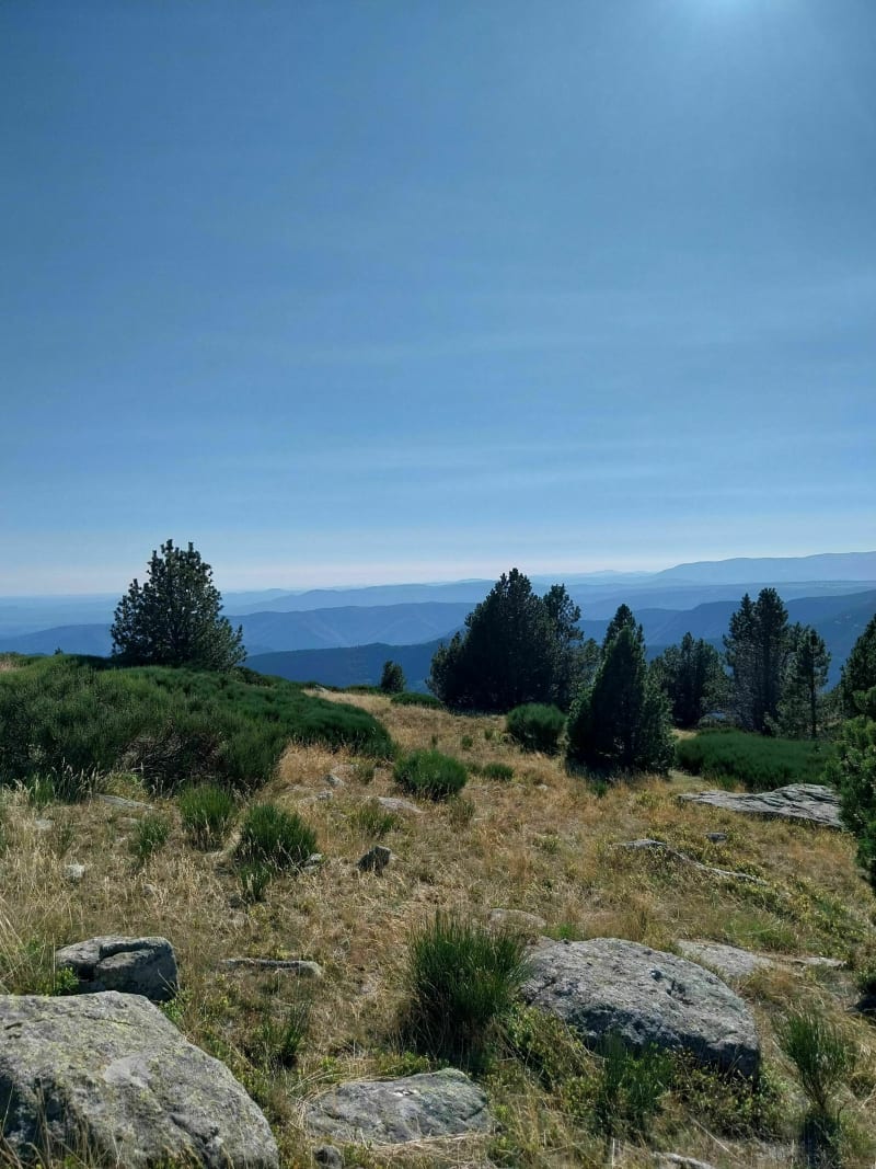 La Croix de Bauzon - Borne