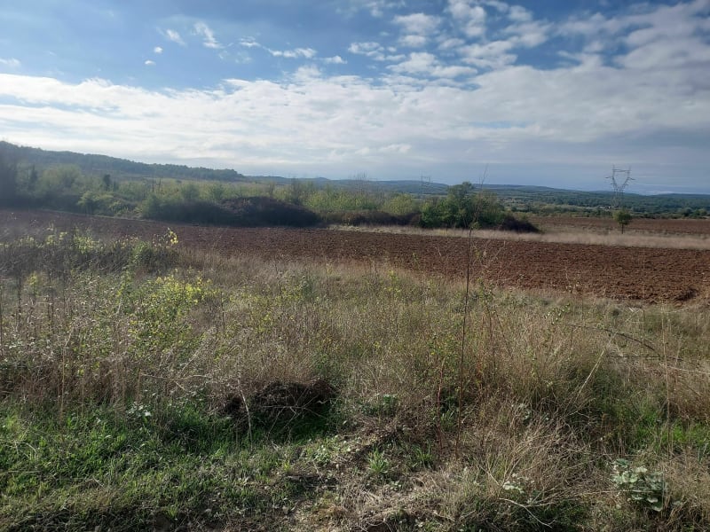 Parcours de santé entre Parignargues et Saint-Mamert - Parignargues