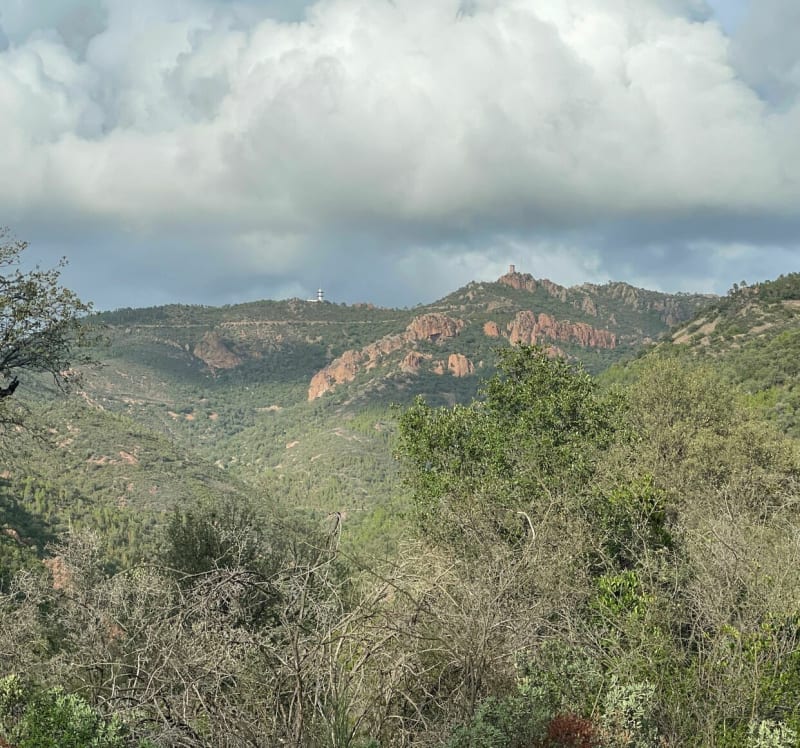 Mont Vinaigre et l’Esterel au départ du Col du Testanier - Fréjus