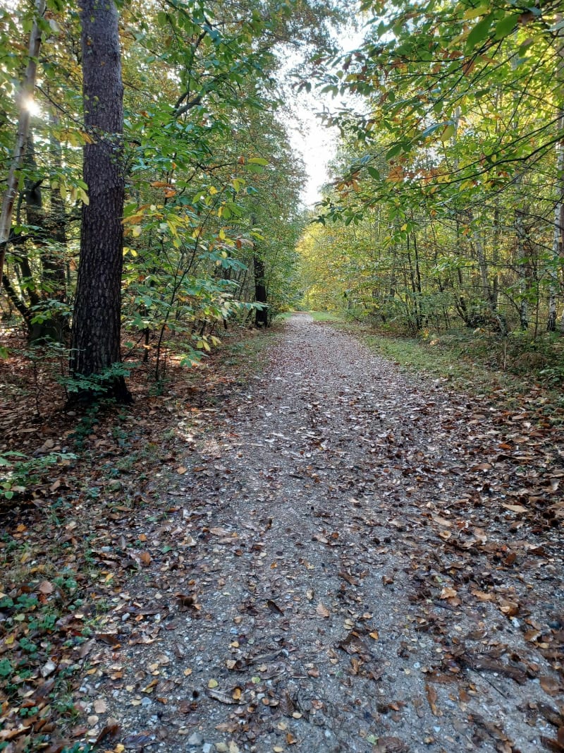 De Grand Quevilly à la forêt du Madrillet - Le Grand-Quevilly