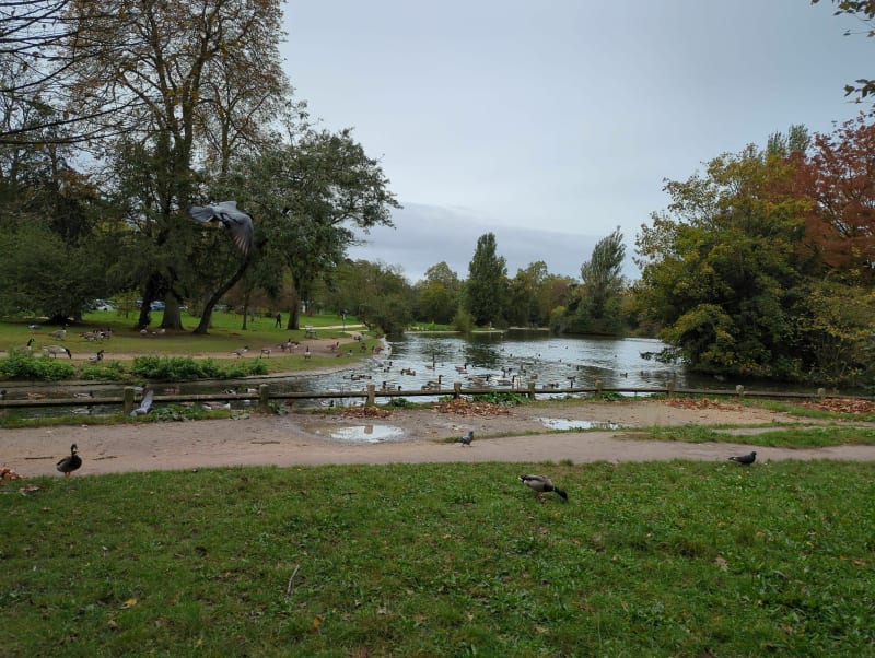 Petite balade tranquille autour du Jardin d'Acclimatation - Paris