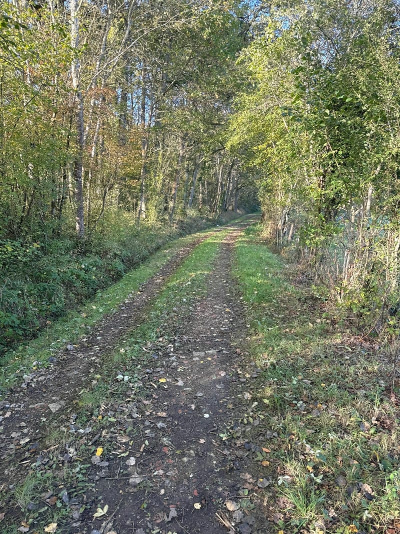 Petite randonnée entre Auxerre et Saint-Georges - Perrigny