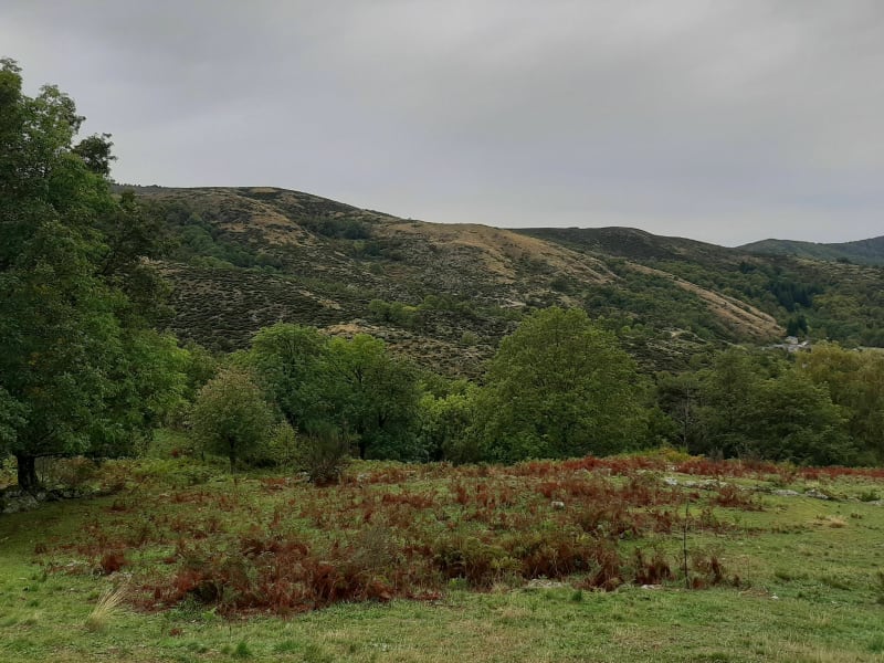 Aller / Retour sous Saint Guiral - Dourbies