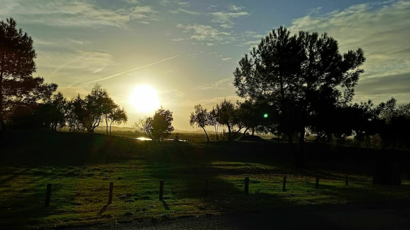 Balade à vélo entre La Brée les Bains et Boyardville - La Brée-les-Bains