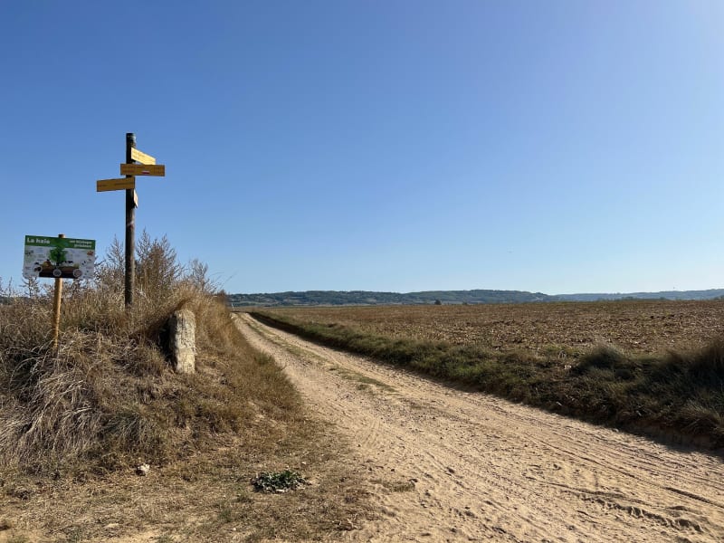 De Monsteroux-Milieu à Reventin-Vaugris par Cheyssieu - Monsteroux-Milieu