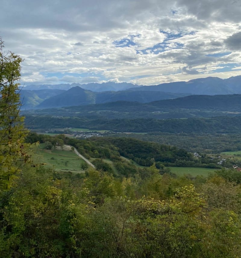 Descente du Col du Marocaz par la forêt. - Saint-Pierre-d'Albigny