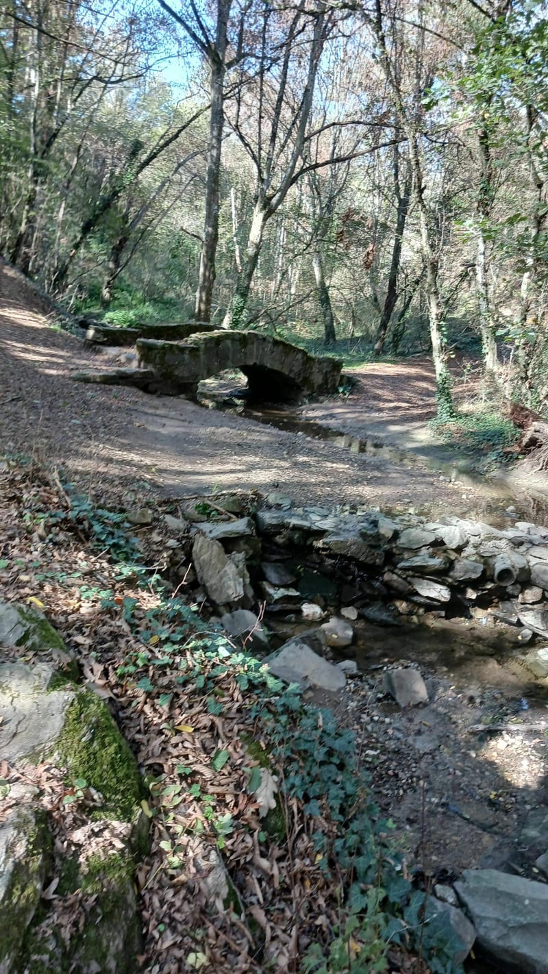 Bele balade à Saint-Andéol-le-Château - Beauvallon