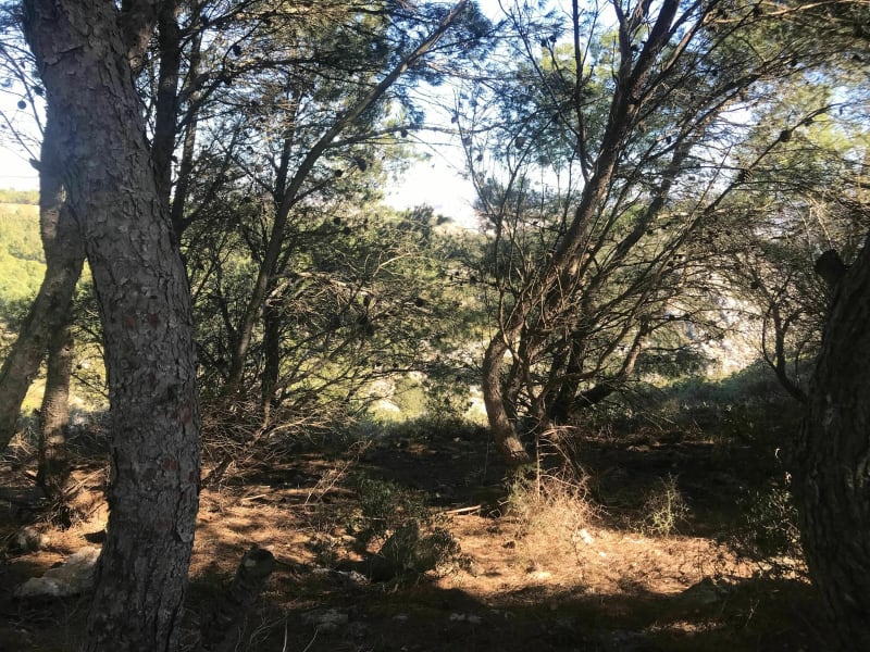 Parc de la Campane - Narbonne