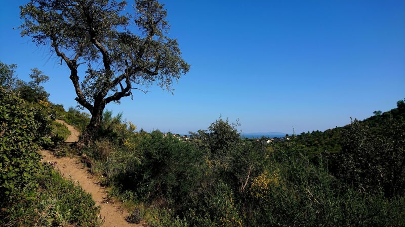 Hyères d'Ouest en Est en passant par les hauteurs - Hyères