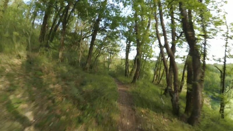 Balade VTT en Forêt de Vouillé et Beruges - Vouillé