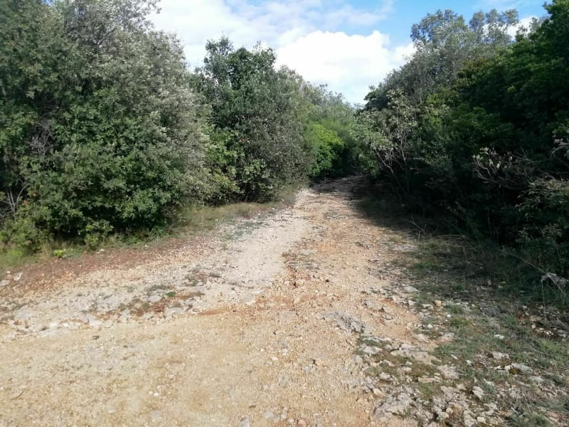 VTT dans les bois de Barjac et Orgnac - Barjac