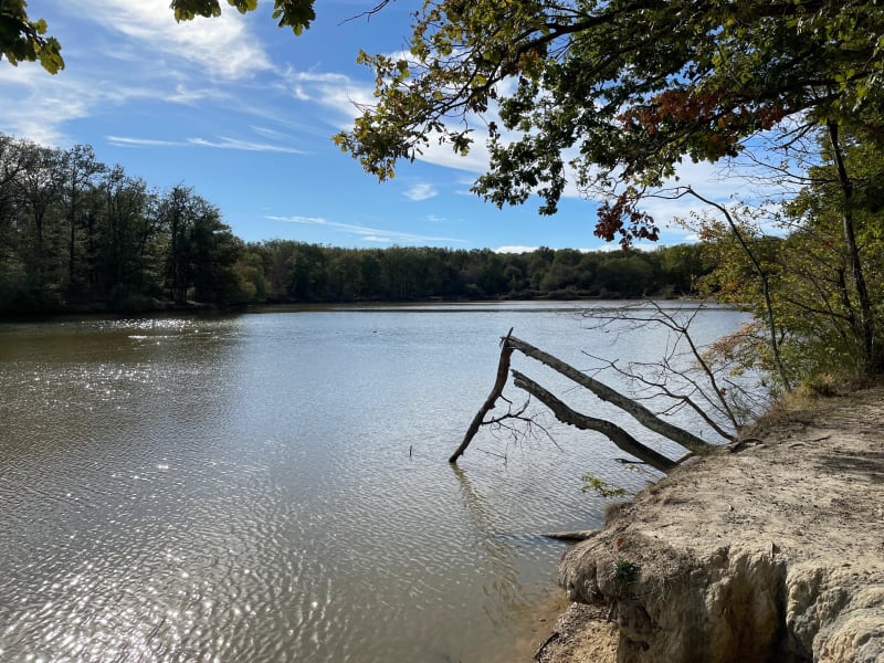 Balade lac et forêt de Bouconne - Pibrac