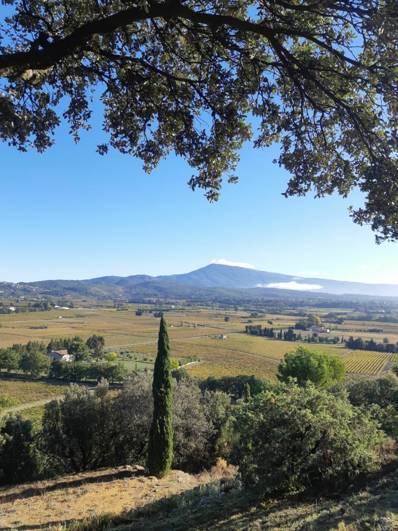 Suzette par la Roque-Alric depuis Aubignan - Aubignan