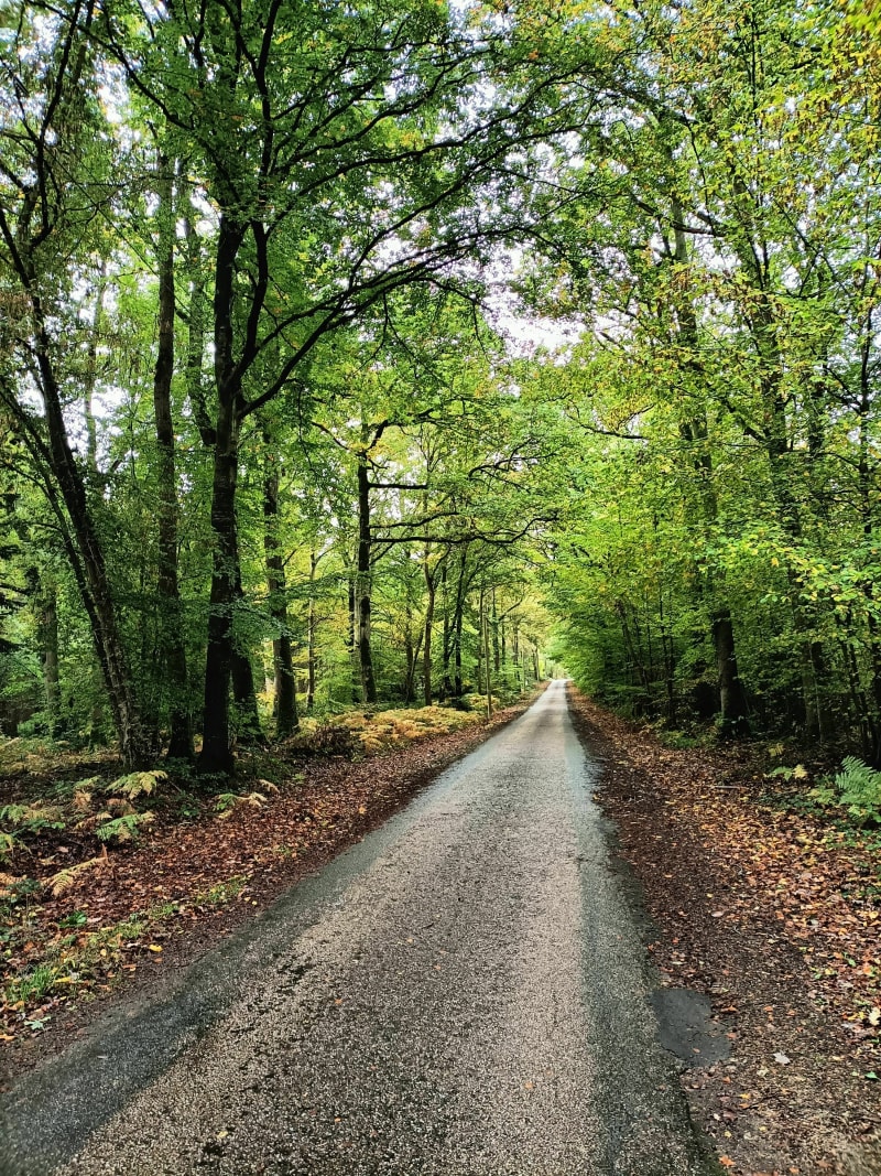 Balade en pleine nature dans l'Eure - Caorches-Saint-Nicolas