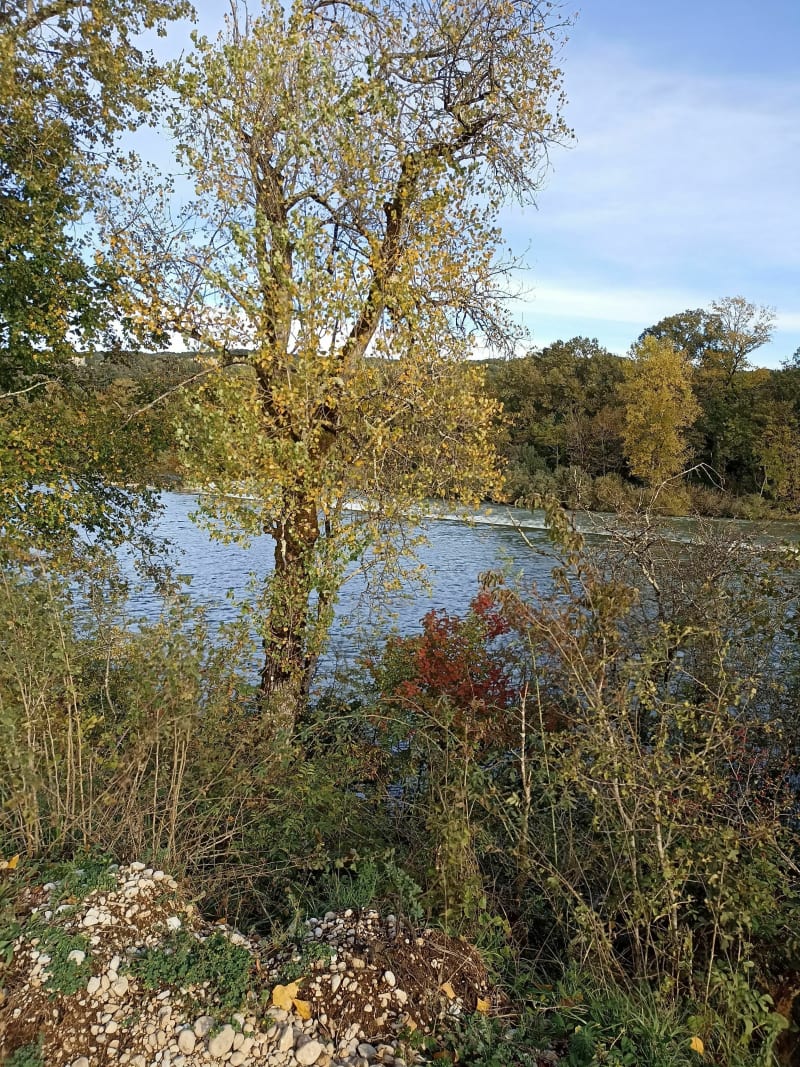 Balade autour de Thol - Neuville-sur-Ain