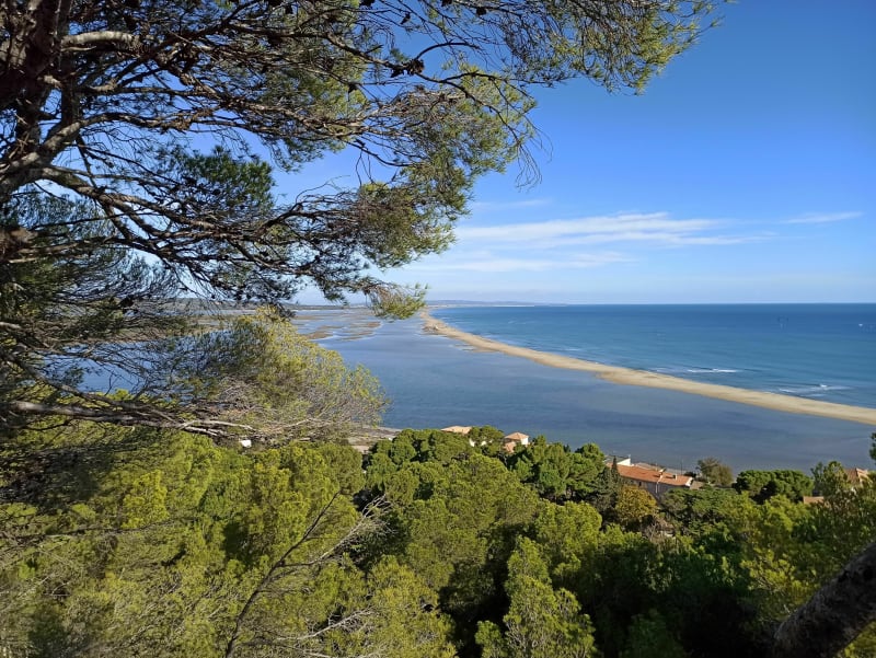 Boucle Leucate - La Franqui / Plateau / Falaise / Étang - Leucate