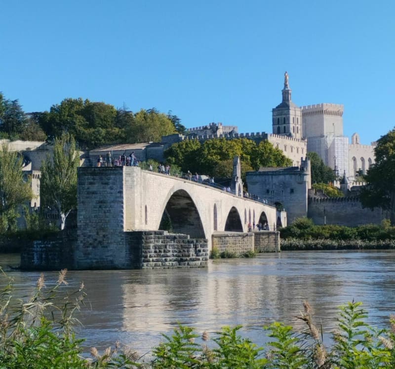 Île de la Barthelasse - Avignon