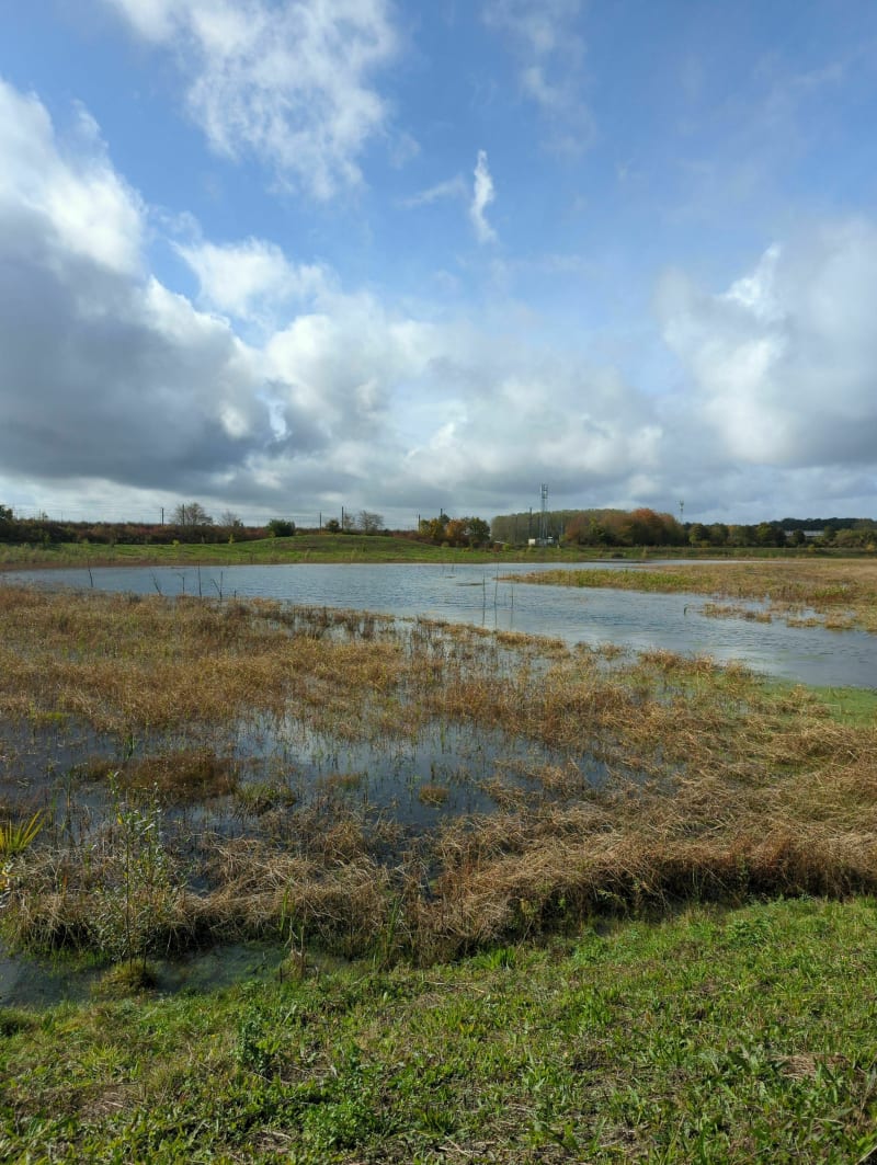 Balade entre Mandres et le golf de Lésigny - Mandres-les-Roses