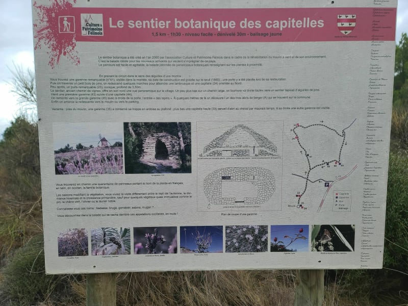 Sentier des Capitelles à Félines - Félines-Minervois