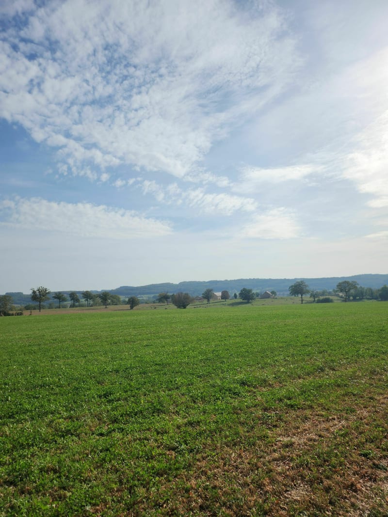 Belle balade sur le Chemin de Saint Jacques de Compostelle - Saint-Agnant-de-Versillat