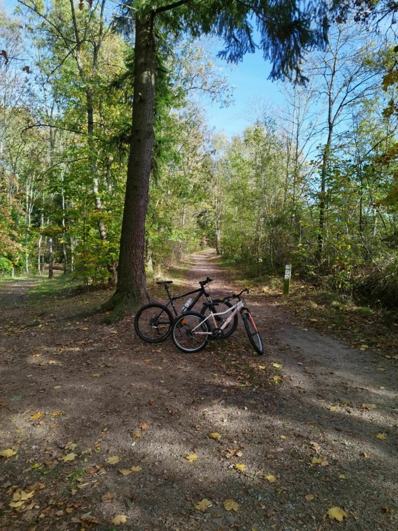 Le tour de Landuzière depuis Saint Etienne - Saint-Étienne