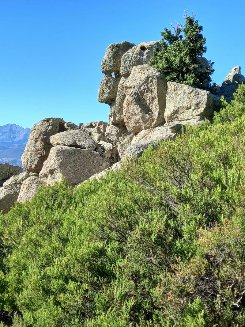 Monte Astu depuis Lama - Lama