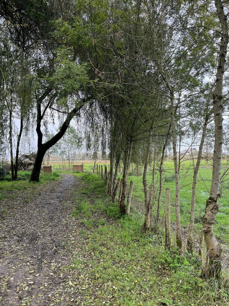 Tour de Bouguenais le long de l'Etier - Bouguenais
