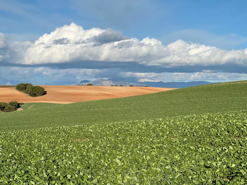 Plateau d’Entrevennes - Entrevennes