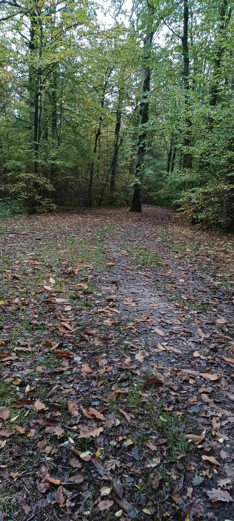 Vtt aux 4 coins des bois du coin depuis Villeparisis - Villeparisis