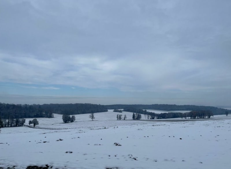 Entre forêt et point de vue à Saint-Maurice-sur-Montagne - Saint-Maurice-sur-Mortagne