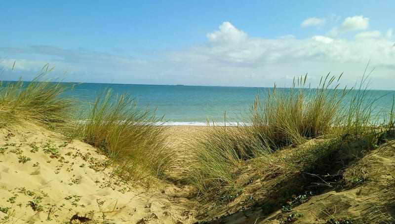 Balade entre terre et mer à Brée les Bains - La Brée-les-Bains