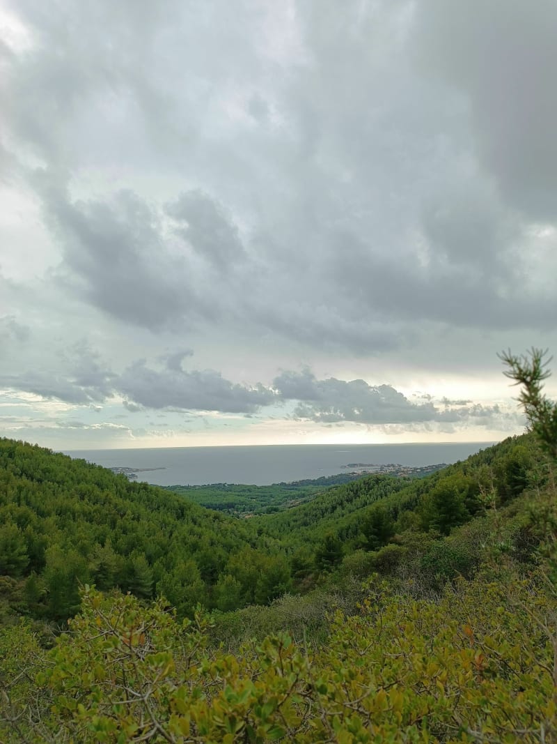 Chemins escarpés vers la Pointe du Cerveau - Sanary-sur-Mer