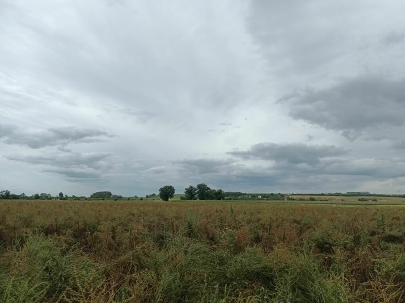 Balade entre forêt et pâture à Saint-Avaugourd-des-Landes - Saint-Avaugourd-des-Landes