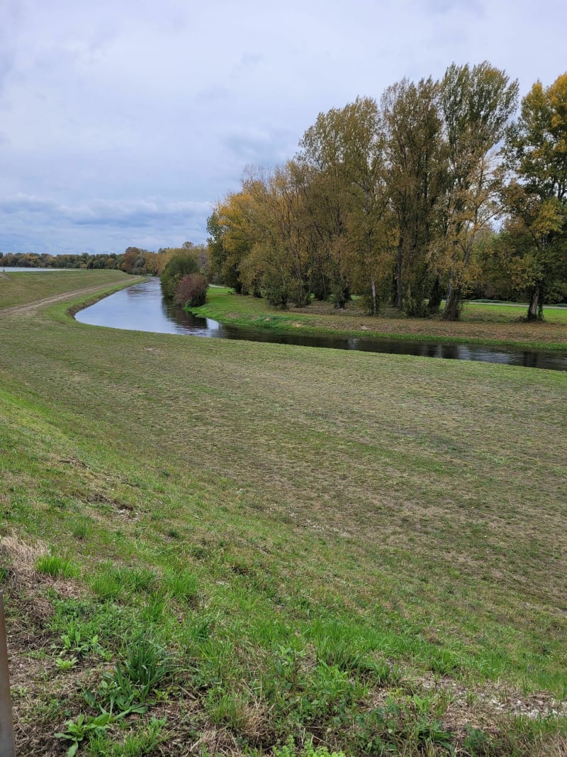 Entre Rhin et forêt - La Wantzenau