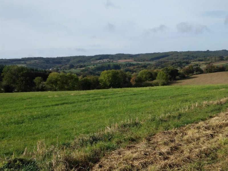Belle sortie aux alentours de Neuf Église - Neuf-Église
