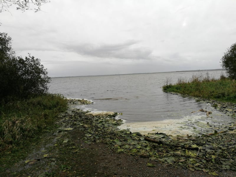 Du centre équestre au Lac de Grand Lieu - Bouguenais