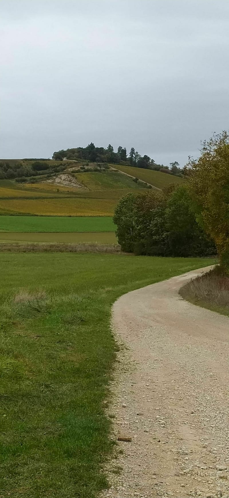 Plaines entre La Rivière de corps, Lépine et Montbernange - La Rivière-de-Corps