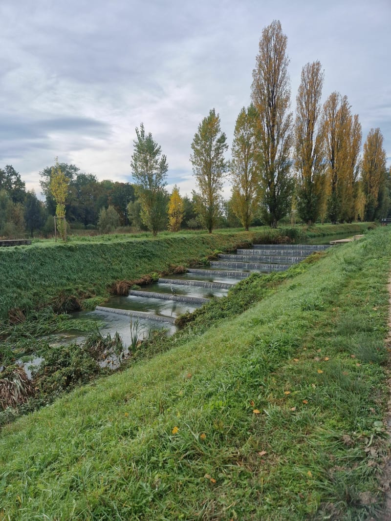 La nature, entre France et Suisse - Saint-Julien-en-Genevois