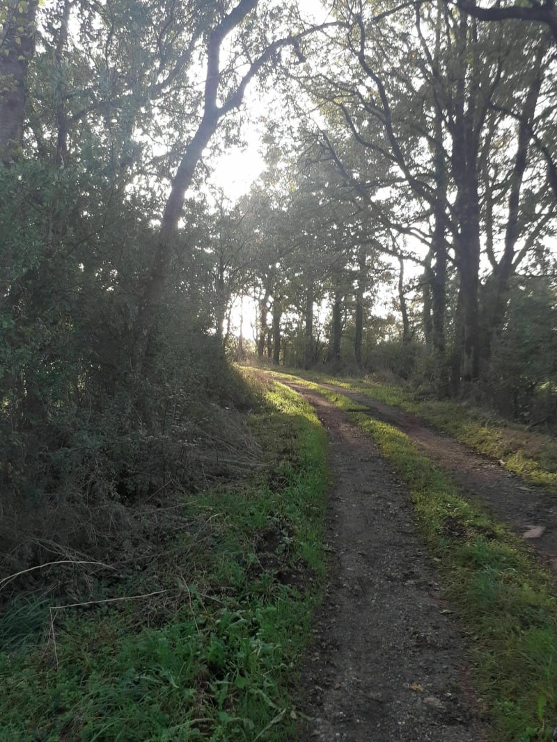 Saint Augustin par les bois - Saint-Augustin-des-Bois