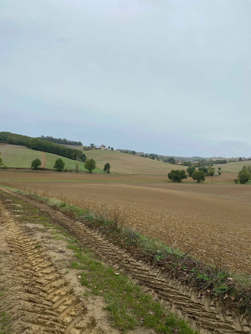 Autour de Saint Martin de Mours - Rabastens